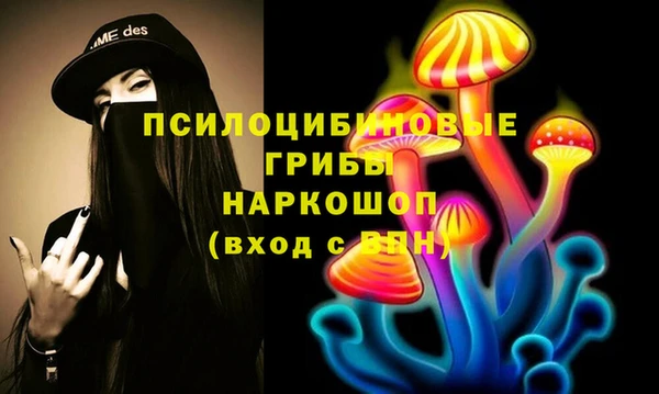 ешки Володарск