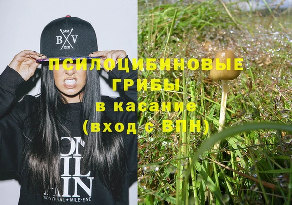 винт Туринск